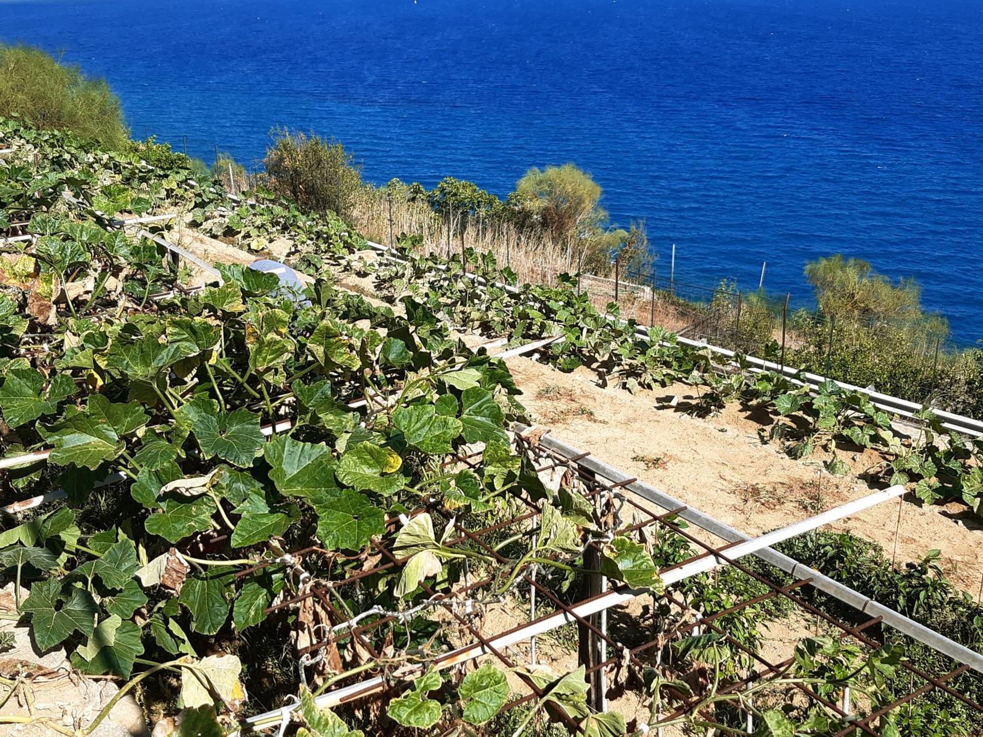 Apartmán Gli Orti Sul Mare 2 Vista Mare Bordighera Exteriér fotografie